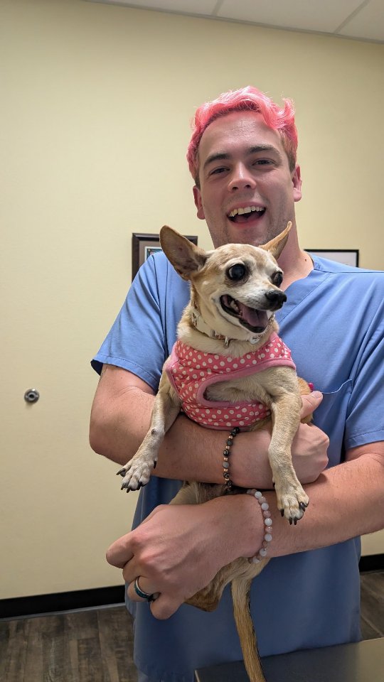 Kokopelli Animal Clinic