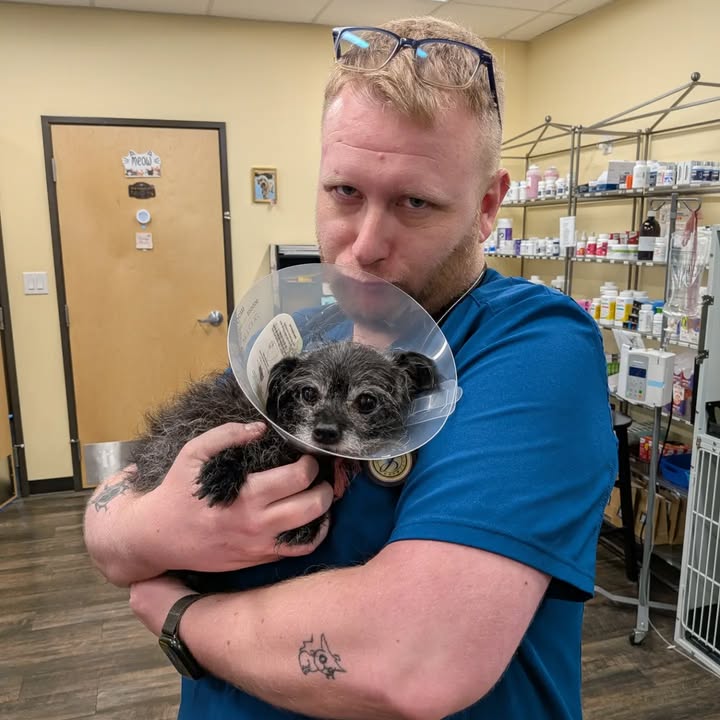 Kokopelli Animal Clinic