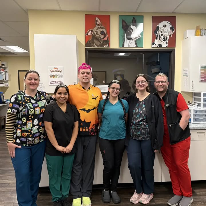 Kokopelli Animal Clinic